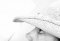 august_burns_red