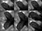 User thumbnail